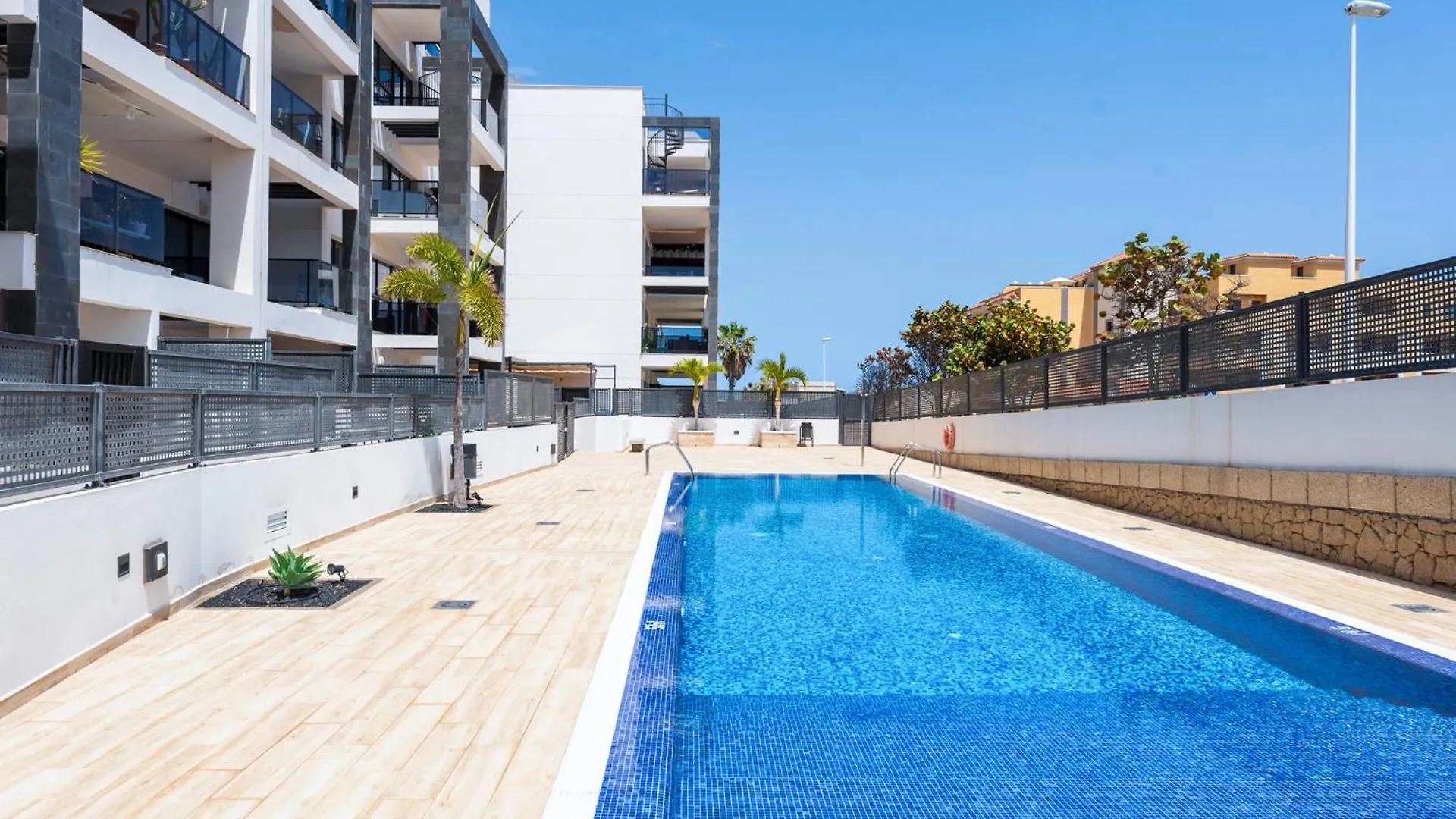 Medano4You The Strelitzia Holiday Home 厄尔梅达诺 西班牙